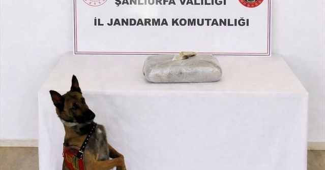 Birecik'te Düzenlenen Operasyonda 1 Kişi Uyuşturucudan Yakalandı