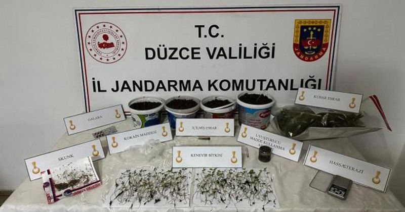 Düzce’de Evinde Yüzlerce Kenevir Bitkisi Bulunan Şüpheli Gözaltına Alındı