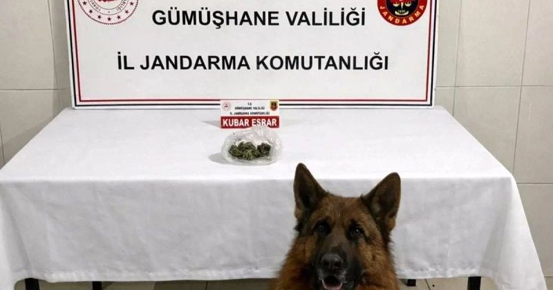 Gümüşhane'de Jandarma 15 Gram Kubar Esrarla Yakalanan Şüpheliyi Gözaltına Aldı