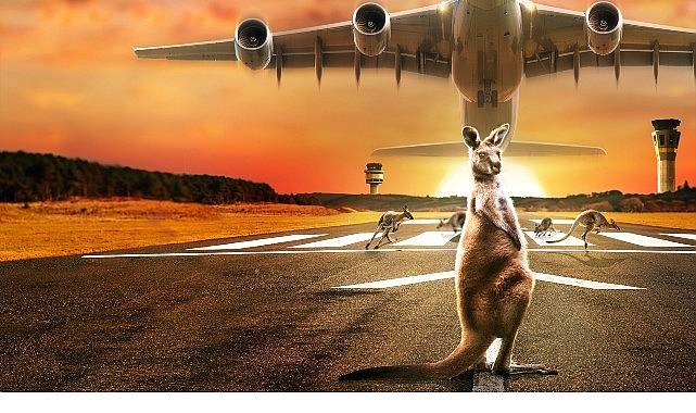 10 Bölümlük Seri 'Inside: Melbourne Havalimanı', 22 Eylül Pazartesi 22.00'de National Geographic Ekranlarında Başlıyor!