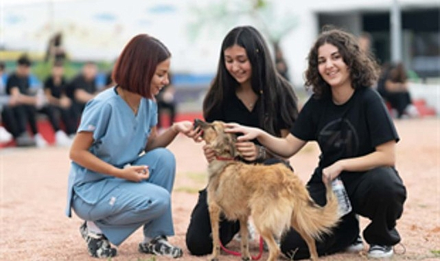 “Sahipsiz hayvanlara kötü muamele son bulsun