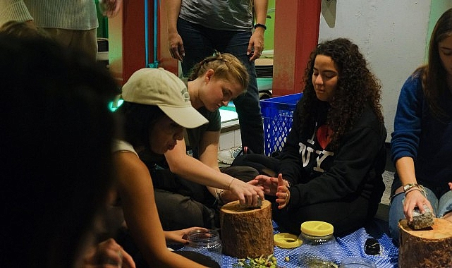 Ayvalık'ta Uluslararası Gençlik Projesi Kapsamında Zeytin Kültürü Deneyimi