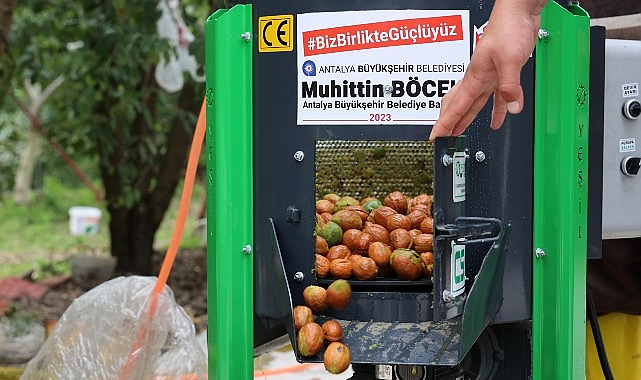 Antalya Büyükşehir Belediyesi Ceviz Soyma Makineleriyle Üreticilerin Yanında