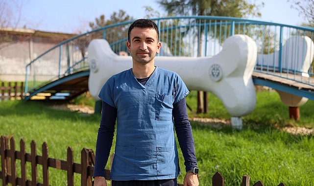 Buca'da 11 Ayda 3 Bin 54 Sokak Kedisi Kısırlaştırıldı